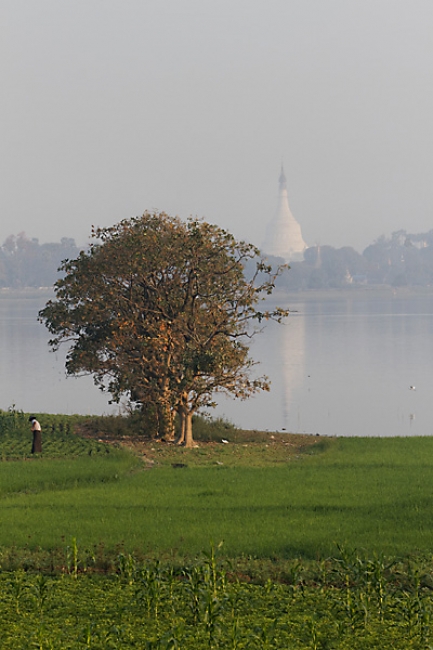 Mandalay-U Bein-055